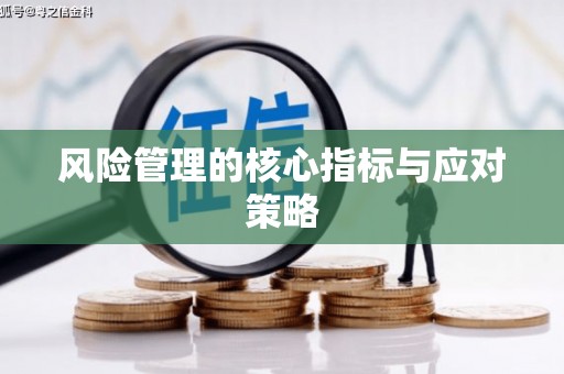 乾安风险管理的核心指标与应对策略