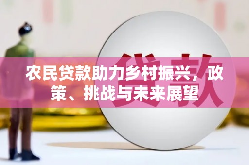 乾安农民贷款助力乡村振兴，政策、挑战与未来展望