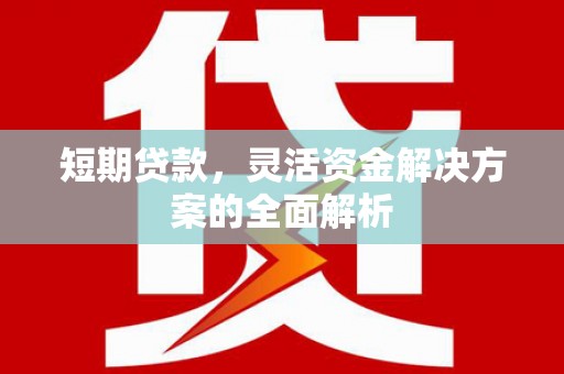 乾安短期贷款，灵活资金解决方案的全面解析