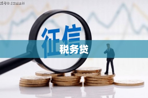 乾安税务贷