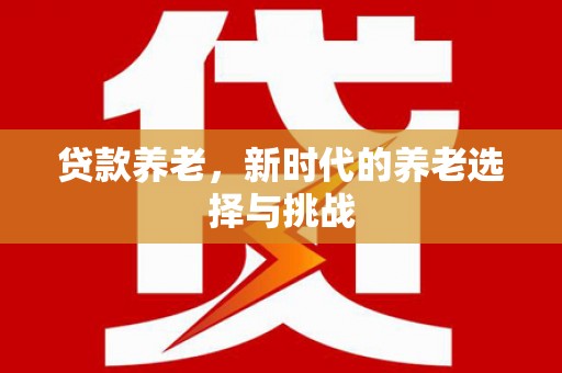 乾安贷款养老，新时代的养老选择与挑战