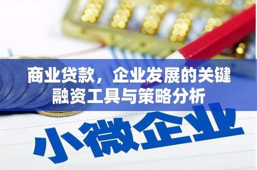 乾安商业贷款，企业发展的关键融资工具与策略分析
