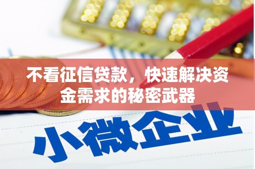 乾安不看征信贷款，快速解决资金需求的秘密武器