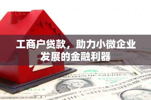 乾安工商户贷款，助力小微企业发展的金融利器