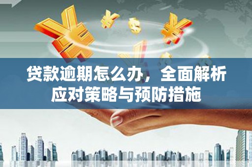 乾安贷款逾期怎么办，全面解析应对策略与预防措施
