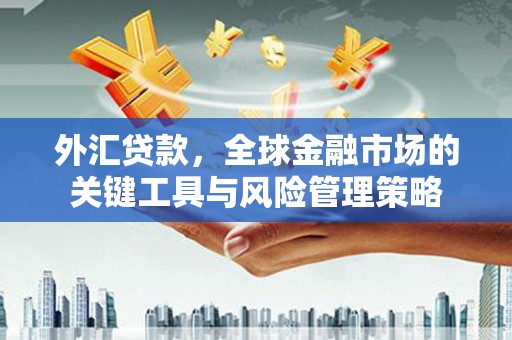 乾安外汇贷款，全球金融市场的关键工具与风险管理策略