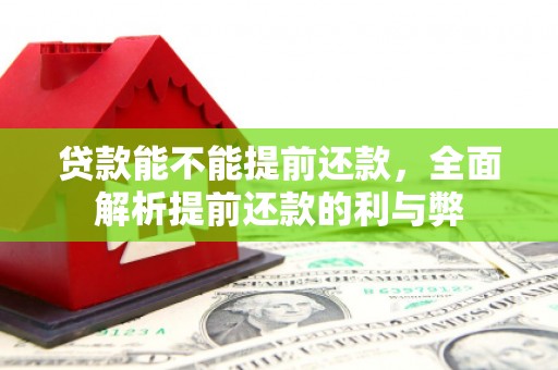 乾安贷款能不能提前还款，全面解析提前还款的利与弊