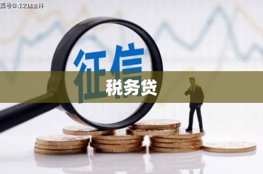乾安税务贷