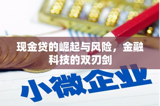 乾安现金贷的崛起与风险，金融科技的双刃剑
