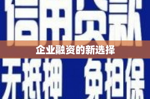 乾安企业融资的新选择