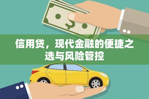 乾安信用贷，现代金融的便捷之选与风险管控