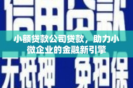 乾安小额贷款公司贷款，助力小微企业的金融新引擎