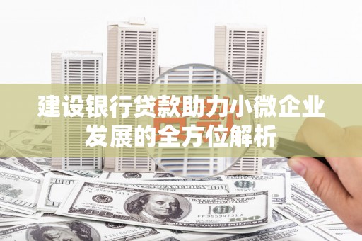 乾安建设银行贷款助力小微企业发展的全方位解析