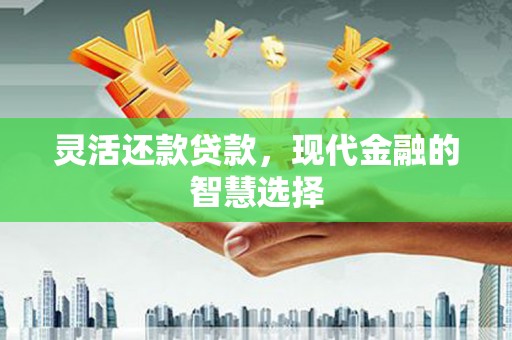 乾安灵活还款贷款，现代金融的智慧选择