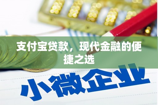 乾安支付宝贷款，现代金融的便捷之选