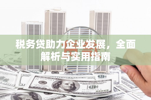 乾安税务贷助力企业发展，全面解析与实用指南