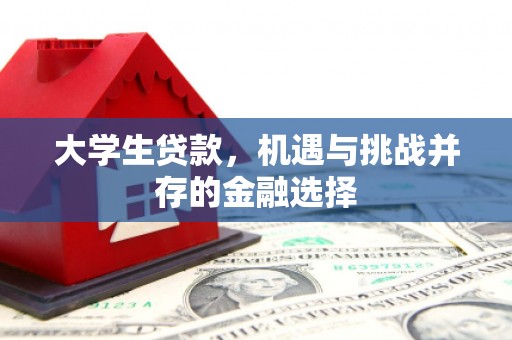 乾安大学生贷款，机遇与挑战并存的金融选择