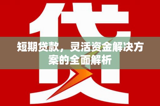 乾安短期贷款，灵活资金解决方案的全面解析