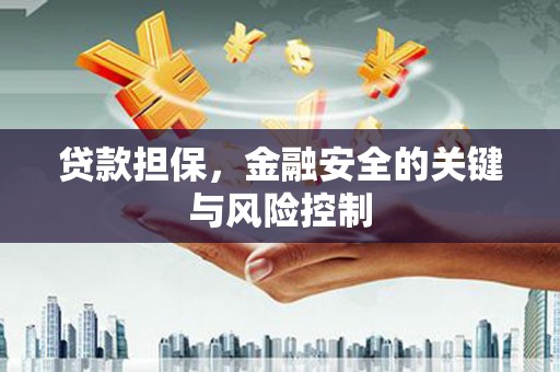 乾安贷款担保，金融安全的关键与风险控制