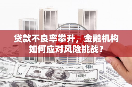 乾安贷款不良率攀升，金融机构如何应对风险挑战？
