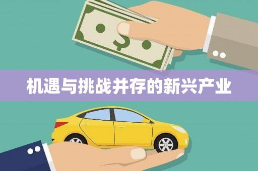 乾安机遇与挑战并存的新兴产业