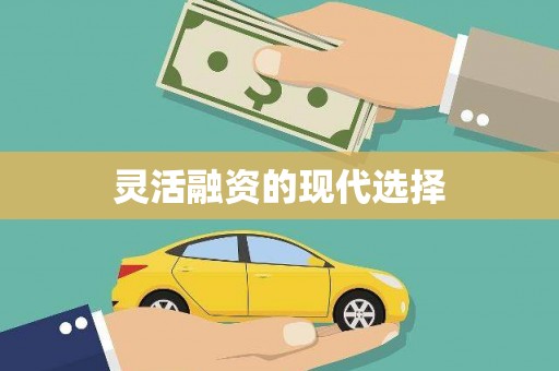 乾安灵活融资的现代选择
