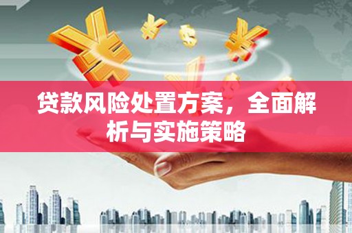 乾安贷款风险处置方案，全面解析与实施策略