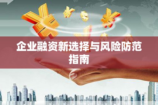 乾安企业融资新选择与风险防范指南