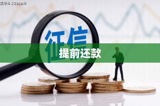 乾安提前还款