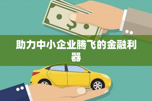 乾安助力中小企业腾飞的金融利器
