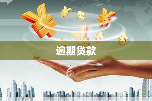 乾安逾期贷款