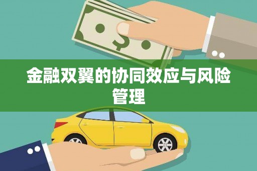 乾安金融双翼的协同效应与风险管理