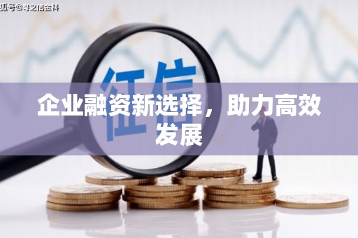 乾安企业融资新选择，助力高效发展