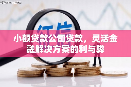 乾安小额贷款公司贷款，灵活金融解决方案的利与弊