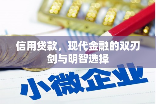 乾安信用贷款，现代金融的双刃剑与明智选择