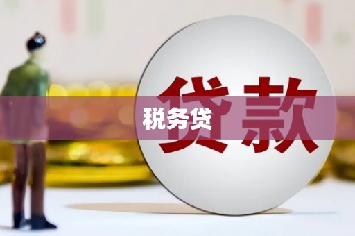 乾安税务贷
